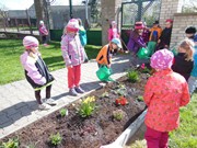 Pečujeme o květinový záhonek